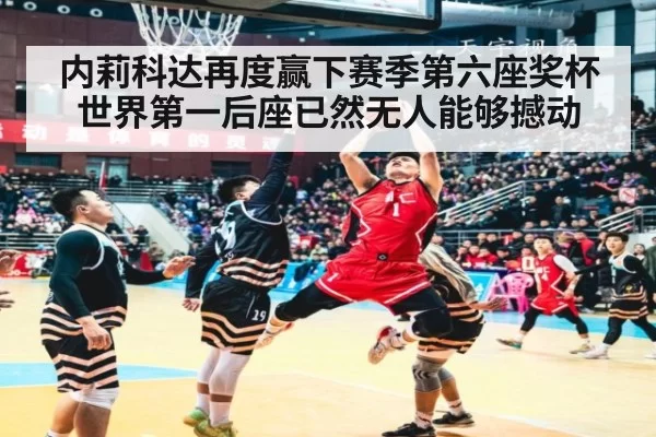 内莉科达再度赢下赛季第六座奖杯世界第一后座已然无人能够撼动